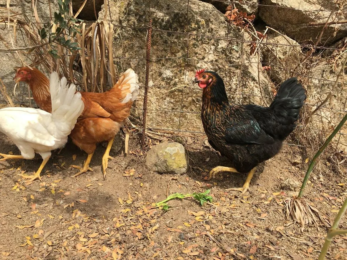 Bed & Breakfast Bnb Anacleto Bassacutena
