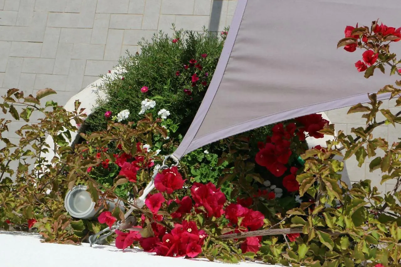 Bnb Anacleto Bassacutena Bed & Breakfast