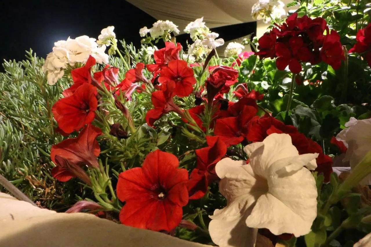 Bnb Anacleto Bassacutena Bed & Breakfast